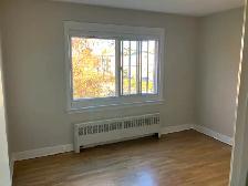 Spacious 1 bedroom apartment available for November 1 - Photo 6