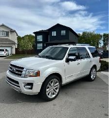 2015 Ford Expedition Platinum - Photo 2