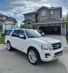 2015 Ford Expedition Platinum - Photo 4