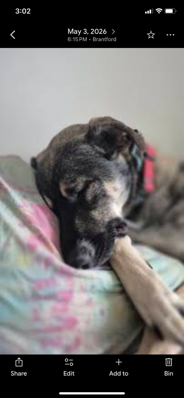 Looking for furever home