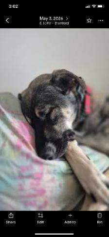 Looking for furever home