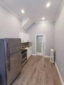 ( NEWLY renovated & trendy $1200 1 Bedroom apt.) - Photo 3