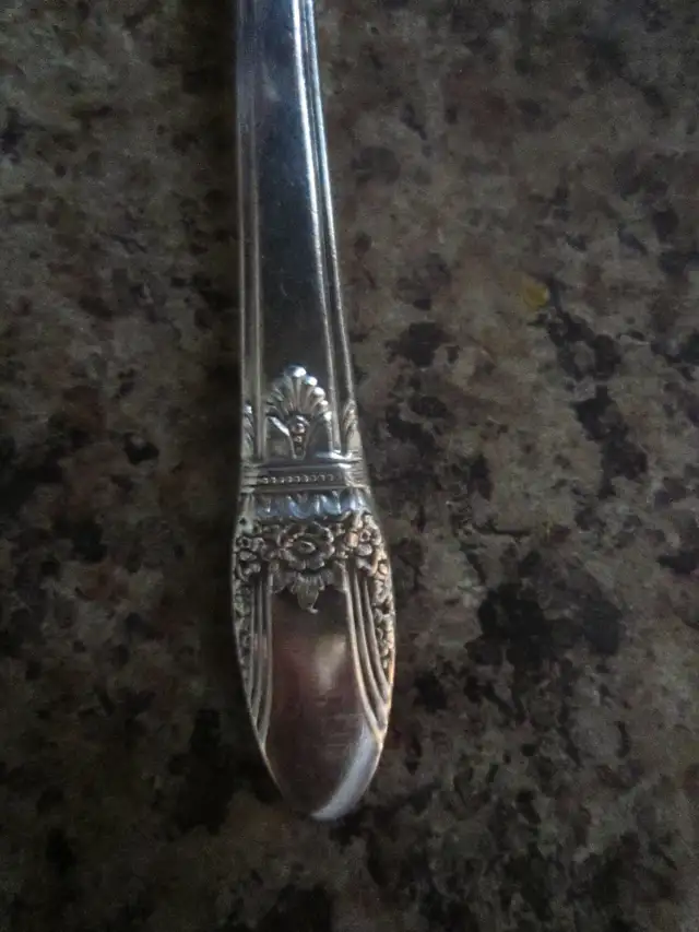 #163Y   FIRST LOVE silverware set for 6