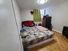 Rental Available  (Jan —  Apr , 2027 ) Scarborough (Midl - Photo 3