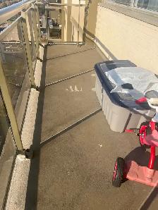 Rental Available  (Jan —  Apr , 2027 ) Scarborough (Midl - Photo 8