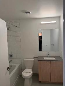 One Bedroom   Den  Brand new luxury Condo for rent. - Photo 3