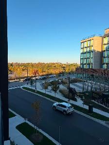 One Bedroom   Den  Brand new luxury Condo for rent. - Photo 5