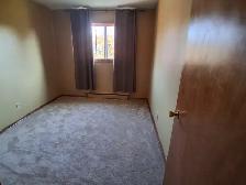 SHARED APARTMENT