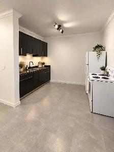 Whole Basement Suite for Rent – Westwood Plateau, Coquitlam - Photo 6