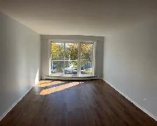 12 Mandaville Court - 305 – One Bedroom Apartment for Rent - Photo 5