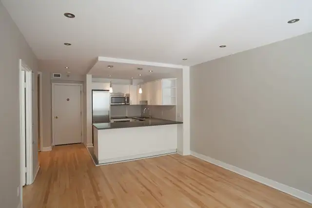 Downtown, renovated one bedroom apartment near McGill - ID 1530