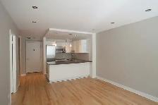 Downtown, renovated one bedroom apartment near McGill - ID 1530