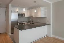 Downtown, renovated one bedroom apartment near McGill - ID 1530 - Photo 2