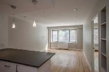 Downtown, renovated one bedroom apartment near McGill - ID 1530 - Photo 3