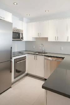 Downtown, renovated one bedroom apartment near McGill - ID 1530 - Photo 5