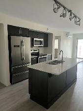 Beautiful 1 Bedroom Condo for Rent – Metro Condominiums - Photo 5