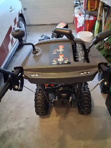 Electric snow blower