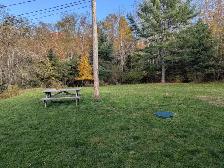 2 Bed / 1 Bath Apartments | Mahone Bay | Heat & Water Included - Photo 21
