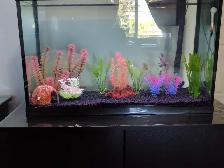 29 gallon fish tank - $50 OBO - Photo 2
