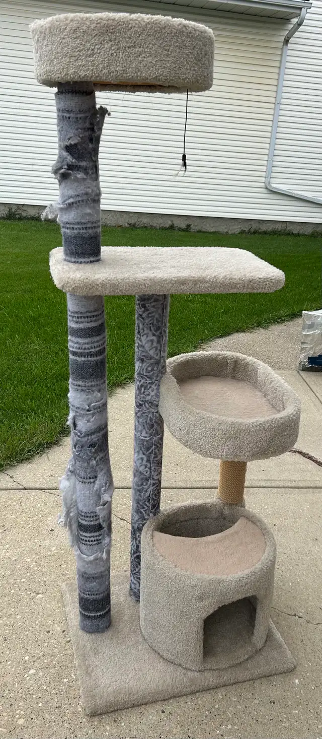 free cat scratch post