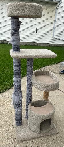 free cat scratch post