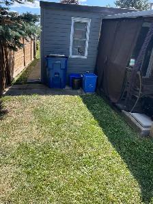 fall clean up - Photo 3
