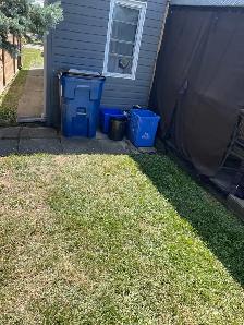 fall clean up - Photo 4