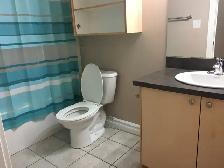 Fully furnished basement room with own entrance in Eagle Ridge - Photo 3