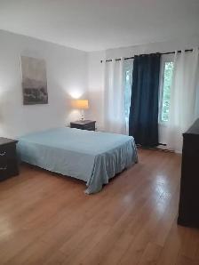 CHAMBRE MEUBLÉ À LOUER À MONTRÉAL - Photo 2