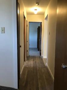 2 BDRM - Cozy, spacious, updated - Photo 10