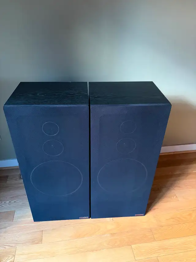 TECHSONICS FLOOR SPEAKERS