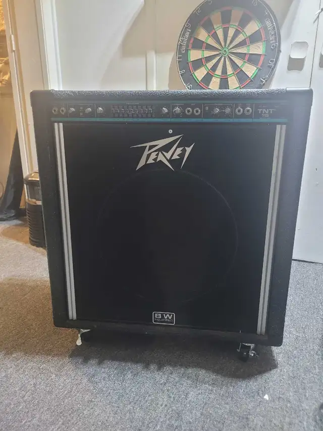 Peavey 100 Watt Combo Amplifier
