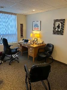 Professional Office Space