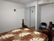 Basement Apartment - Photo 3