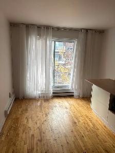 Appartment   3 ½ à louer - Beauport/Limoilou, Quebec - Photo 2