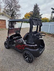 Custom! Airbrushed EFI Gas Golf Cart - Photo 5