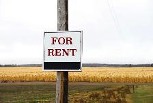 Farm land for rent