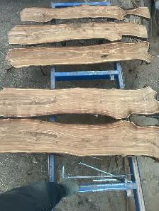Live edge, Russian Elm
