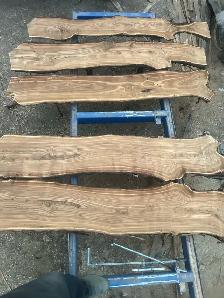 Live edge, Russian Elm - Photo 4