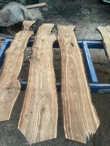 Live edge, Russian Elm - Photo 5