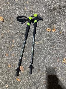 Woods Trekking Poles - Pair