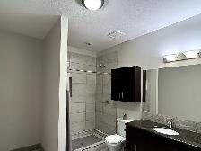 2.5 Acre Estate – 3,600 sq ft Home & 2,300 sq ft Shop – Decoteau - Photo 8