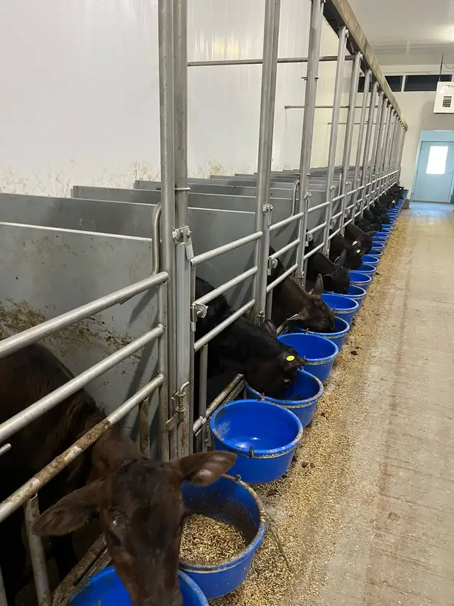 Full time farm labourer