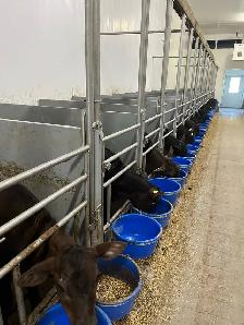 Full time farm labourer