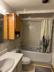 Room for long-term rent for single male near Leslie subway - Photo 2