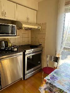 Room for long-term rent for single male near Leslie subway - Photo 5