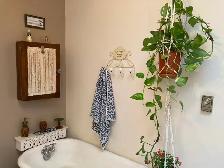 Chambre disponible au mois PLATEAU - Photo 3