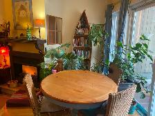 Chambre disponible au mois PLATEAU - Photo 11