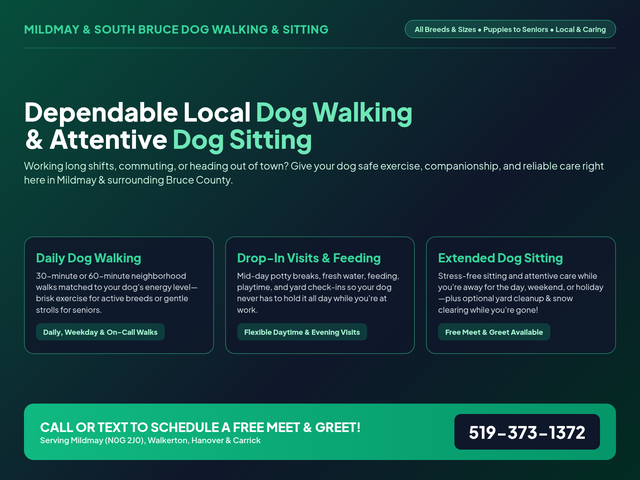 Mildmay & Walkerton Dog Walking, Drop-In Visits & Sitting