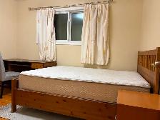 Rooms for rent cls UC, brentwood/Dalhousie Ctrain - Photo 5